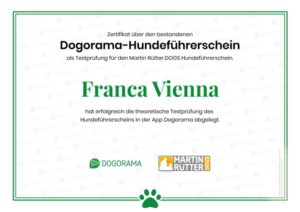 Dogorama-Hundeführerschein - Franca Vienna